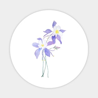 purple wild flower columbine flower watercolor Magnet